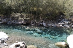 maggia