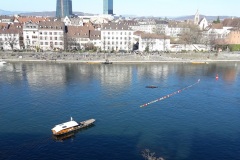 Fähre über den Rhein - Münsterfähre