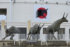 arènes