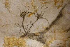 lascaux-1