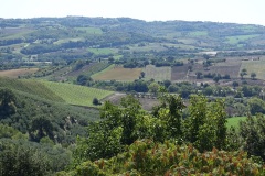 marche-13