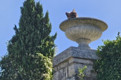 chat