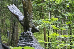 aigle-adler