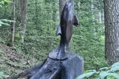 dauphin-delfin