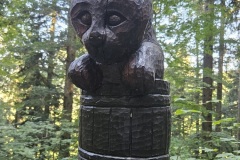 petit-chat-kleine-katze