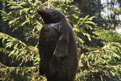 pinguin