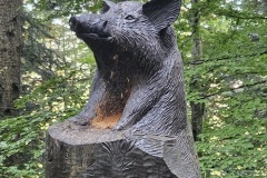 sanglier-wildschwein