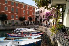 limone-03