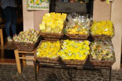 limone-04