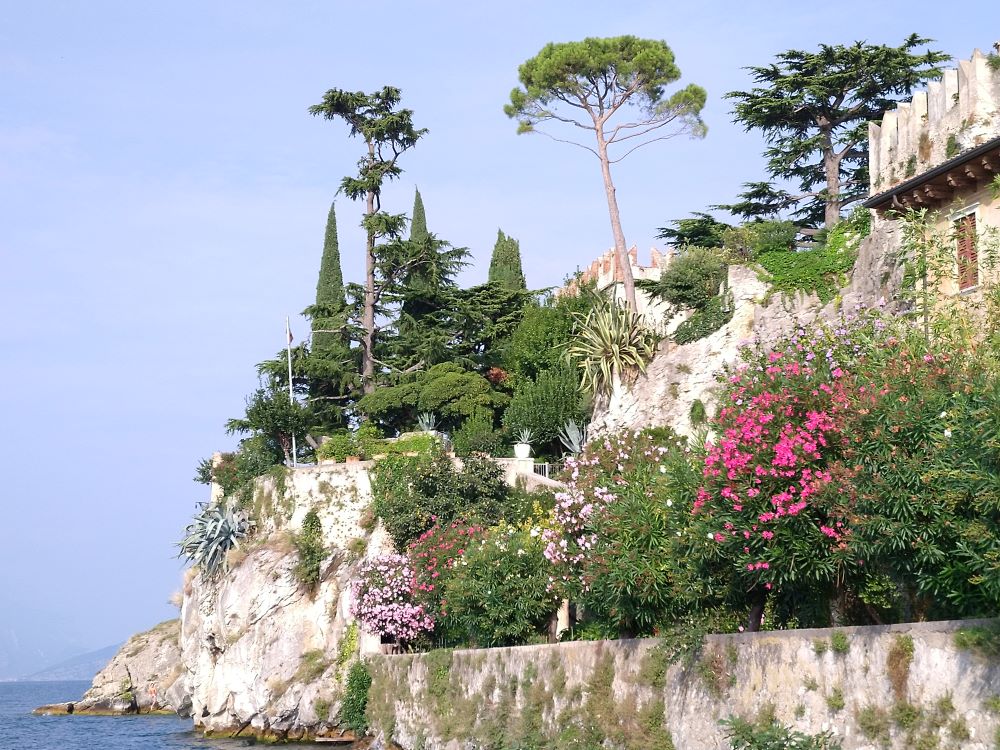 Mediterrane Vegetation am Gardasee